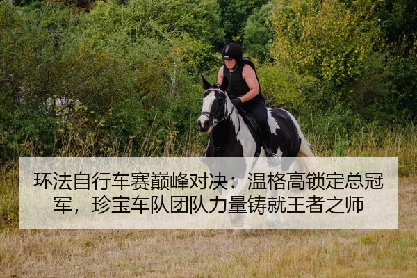 环法自行车赛巅峰对决：温格高锁定总冠军，珍宝车队团队力量铸就王者之师（lejingt iyu）